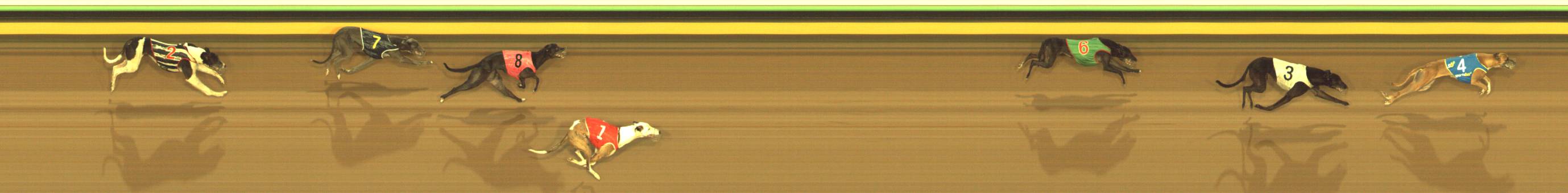 Race result finish photo